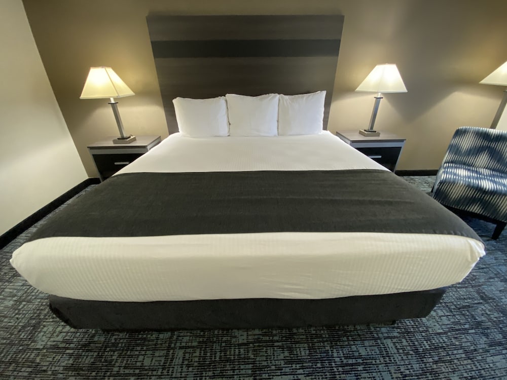 Standard Room, 1 King Bed, Non Smoking, Refrigerator & Microwave