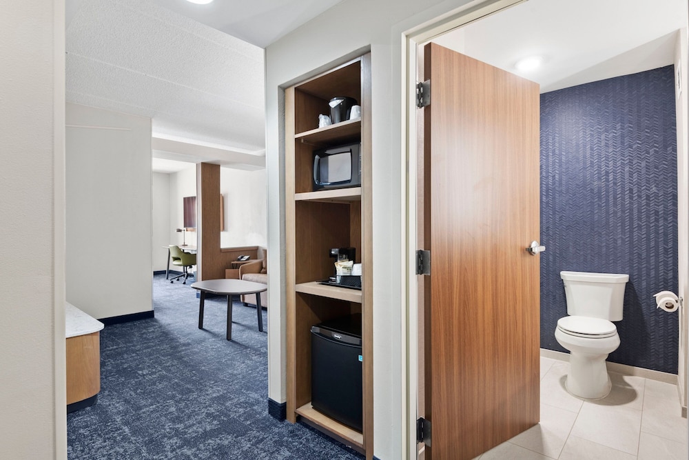 Suite, 1 King Bed with Sofa bed photo 3