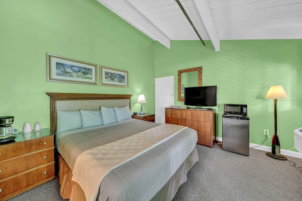 Standard Single Room, 1 King Bed, City View photo 3