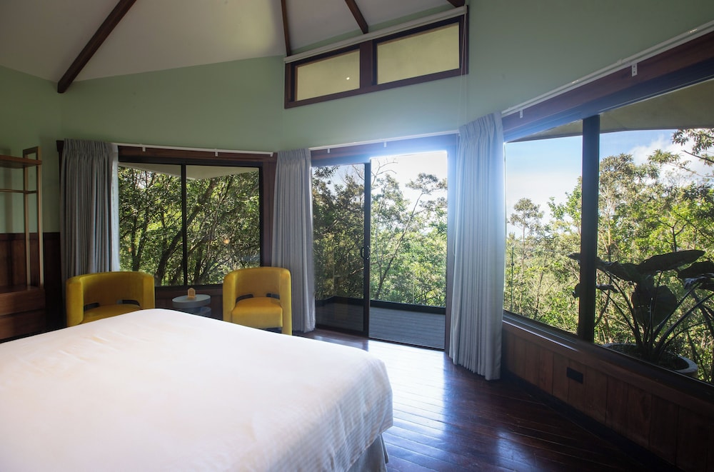 Forest Junior Bungalow Deluxe - Photo 8