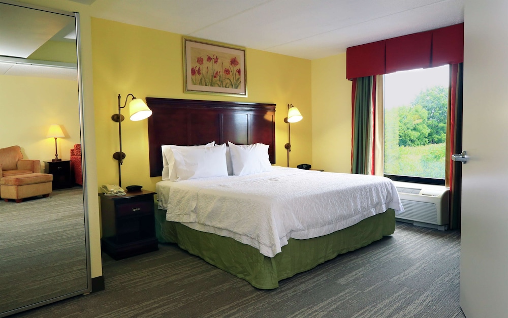 Room, 1 King Bed, Accessible, Non Smoking (Roll-in Shower) - Photo 1