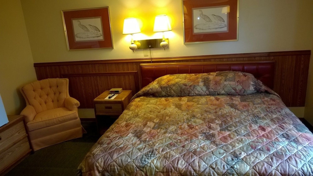Economy Room, 1 King Bed photo 1