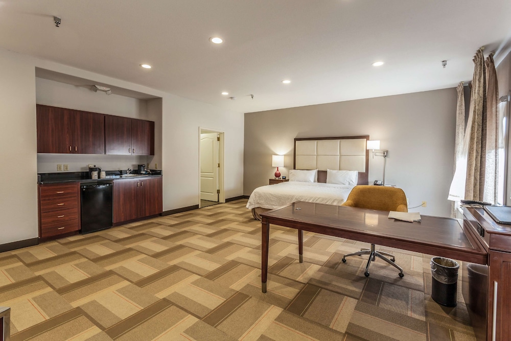 Suite, 1 King Bed, Non Smoking - Photo 4