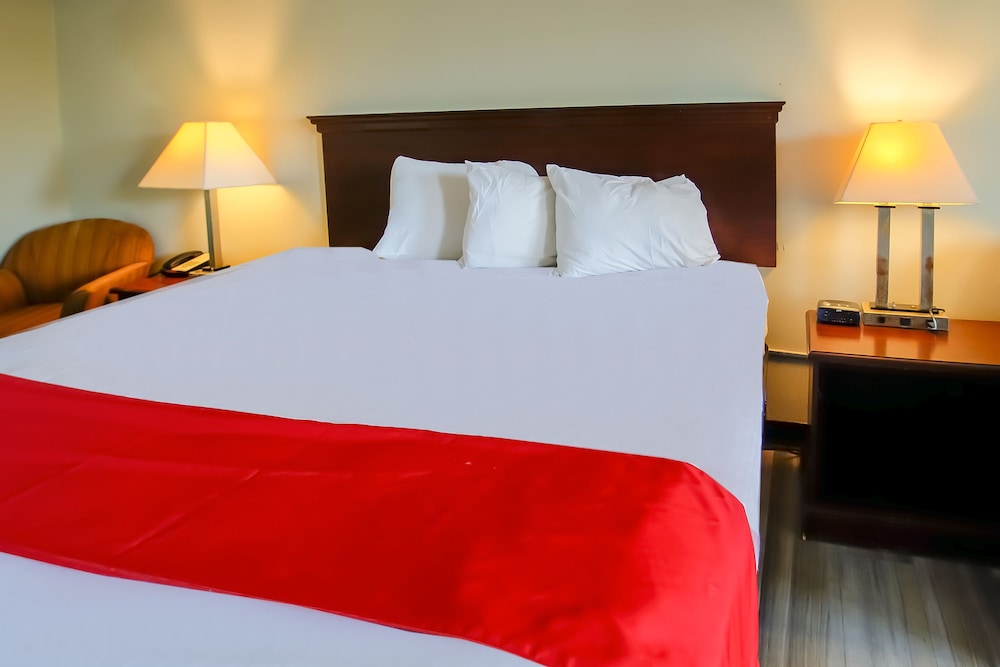 Room, 1 King Bed photo 3