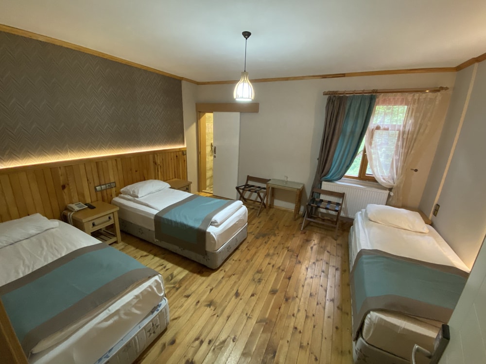 Standard Triple Room, Mountain View