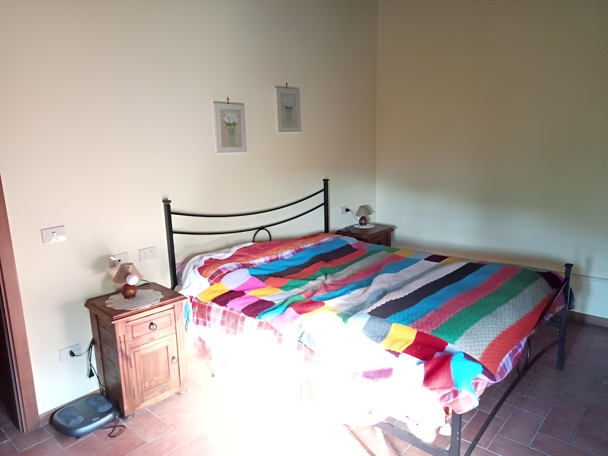 Basic Room photo 2
