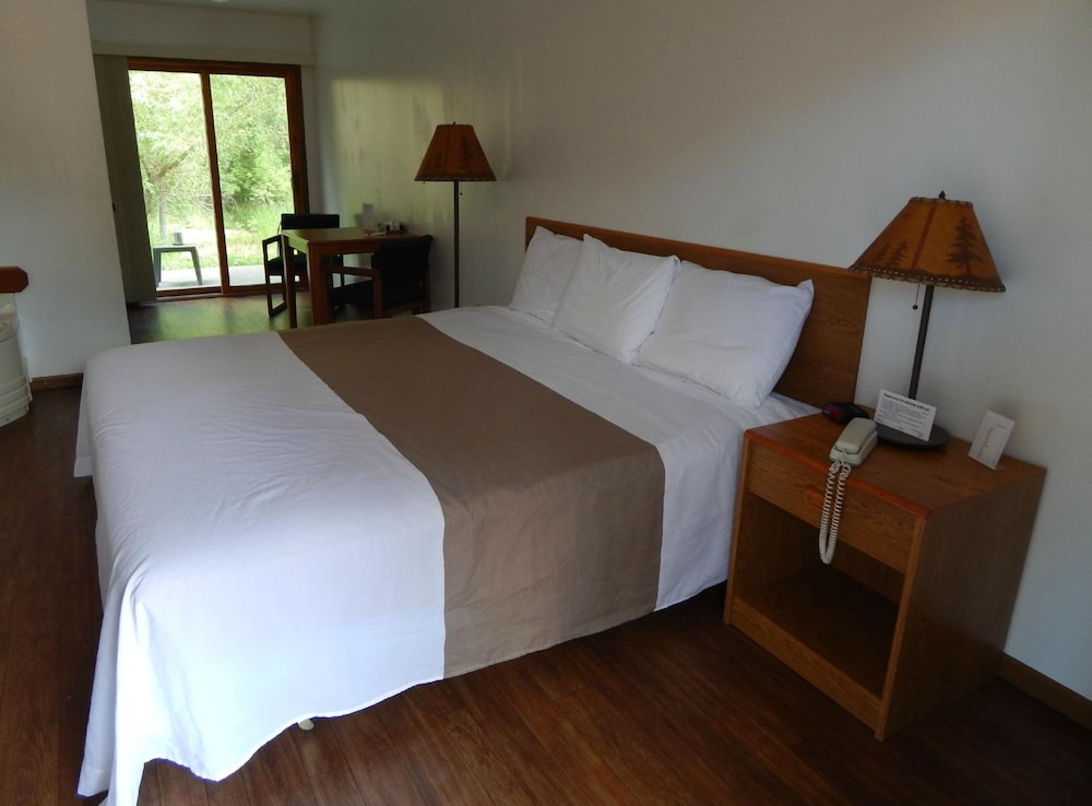 Room, 1 King Bed, Non Smoking photo 1