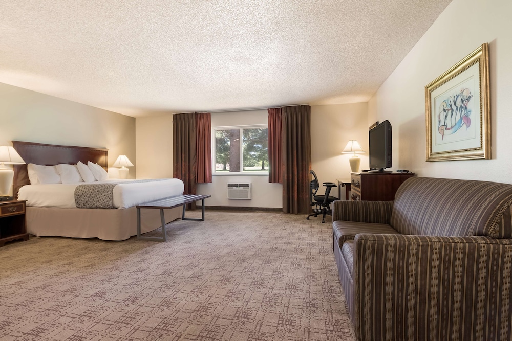 Standard Room, 1 King Bed, Non Smoking, Kitchenette (with Sofabed) photo 2