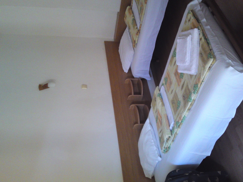 Standard Double Room, Balcony photo 3