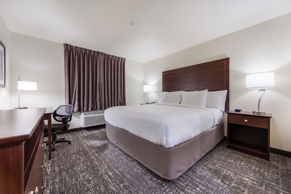 Room, 1 King Bed, Non Smoking (hearing and vision impaired) - Photo 1