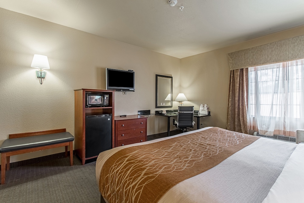 Standard Room, 1 King Bed, Accessible, Non Smoking - Photo 3
