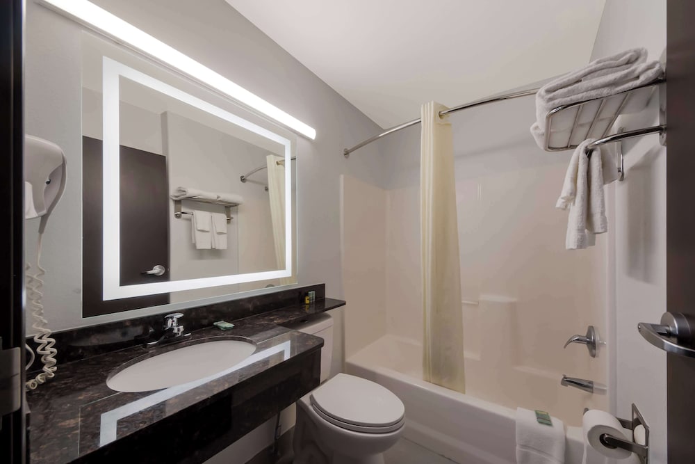 Suite, 1 King Bed, Non Smoking, Refrigerator & Microwave (with Sofabed) - Photo 4