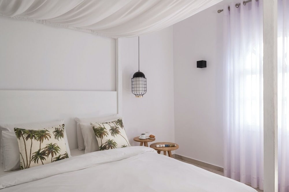 Basic Suite - Photo 4