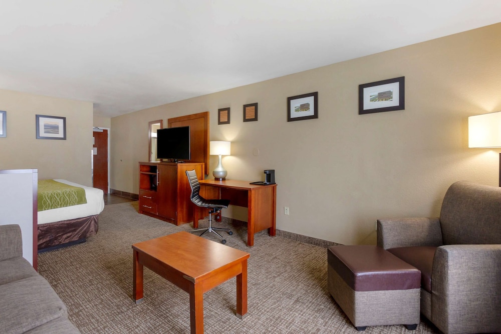 Suite, 1 King Bed with Sofa bed, Non Smoking photo 2