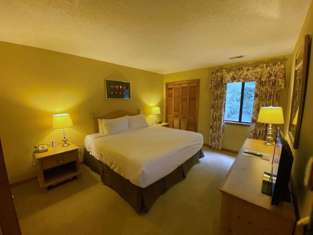 Deluxe Suite, 1 Bedroom photo 1