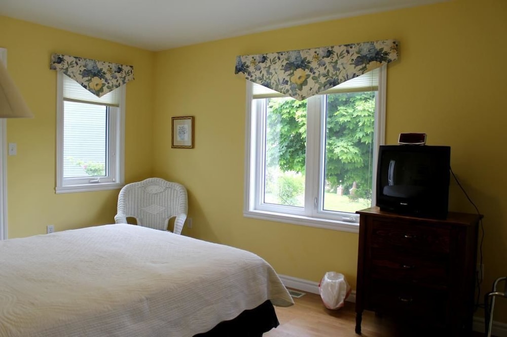Room, 1 Queen Bed photo 1