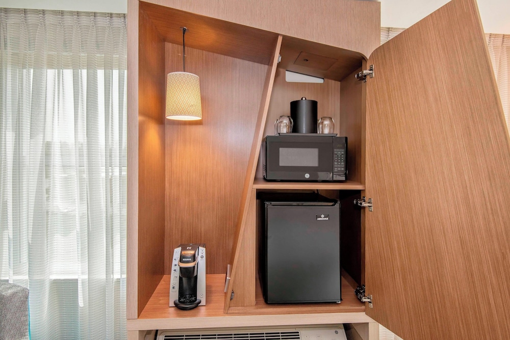 Suite, 1 King Bed with Sofa bed