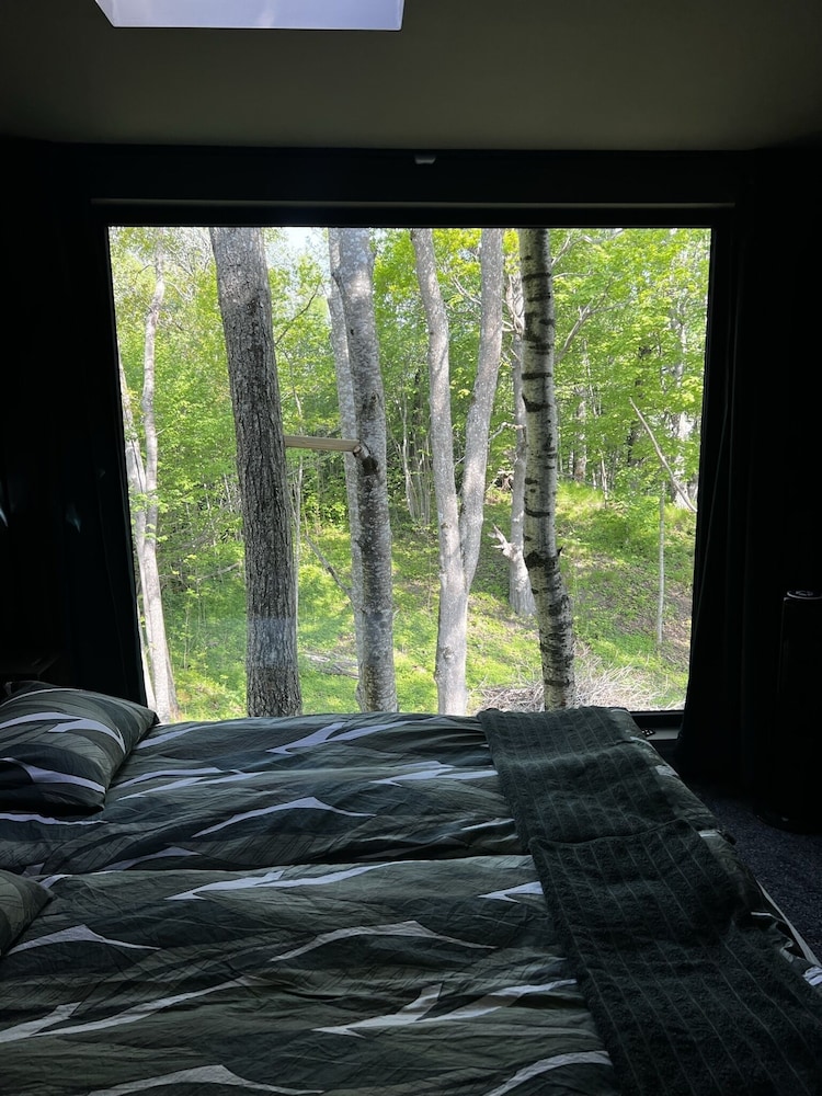 Deluxe Cabin, 1 Bedroom, Lake View, Garden Area photo 2