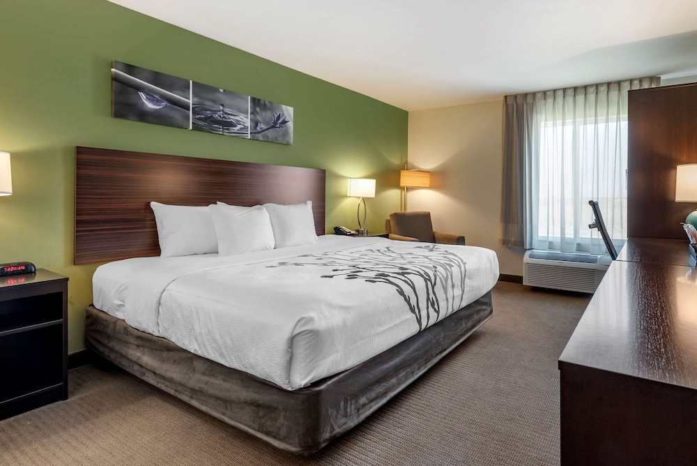 Standard Room, 1 King Bed, Non Smoking - Photo 1