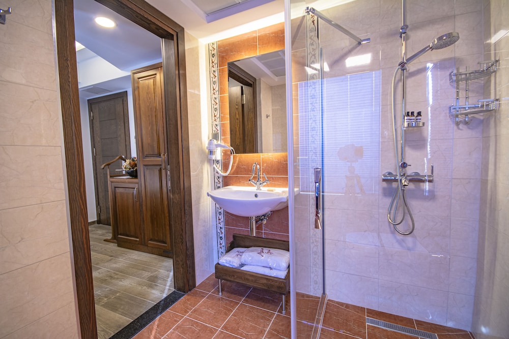 Deluxe Single Room photo 2