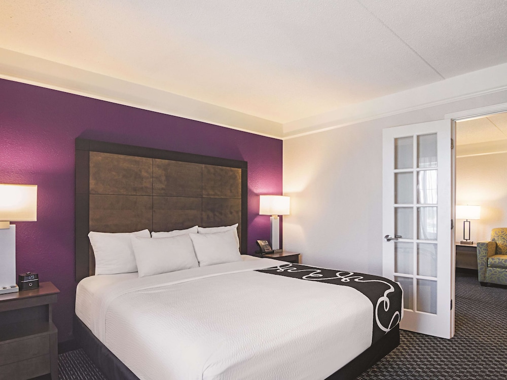 Deluxe Suite, 1 King Bed, Non Smoking, Courtyard View - Photo 3