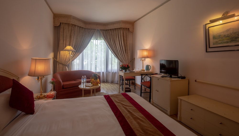 Deluxe Double or Twin Room - Photo 1