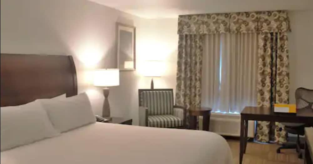 Room, 1 King Bed, Accessible - Photo 1