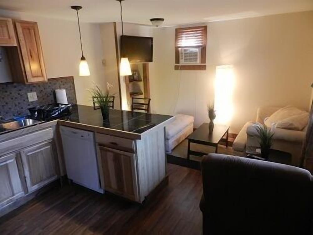 Standard Apartment, 1 Bedroom, Kitchen (Unit 1) photo 1