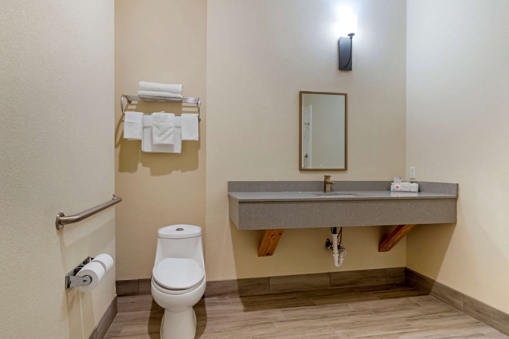 Room, 1 King Bed, Accessible, Non Smoking (Roll-In Shower) - Photo 4