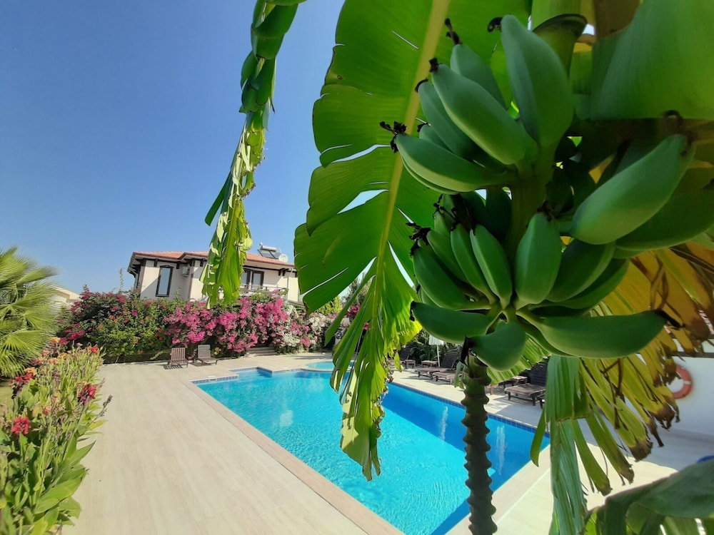Villa photo 3