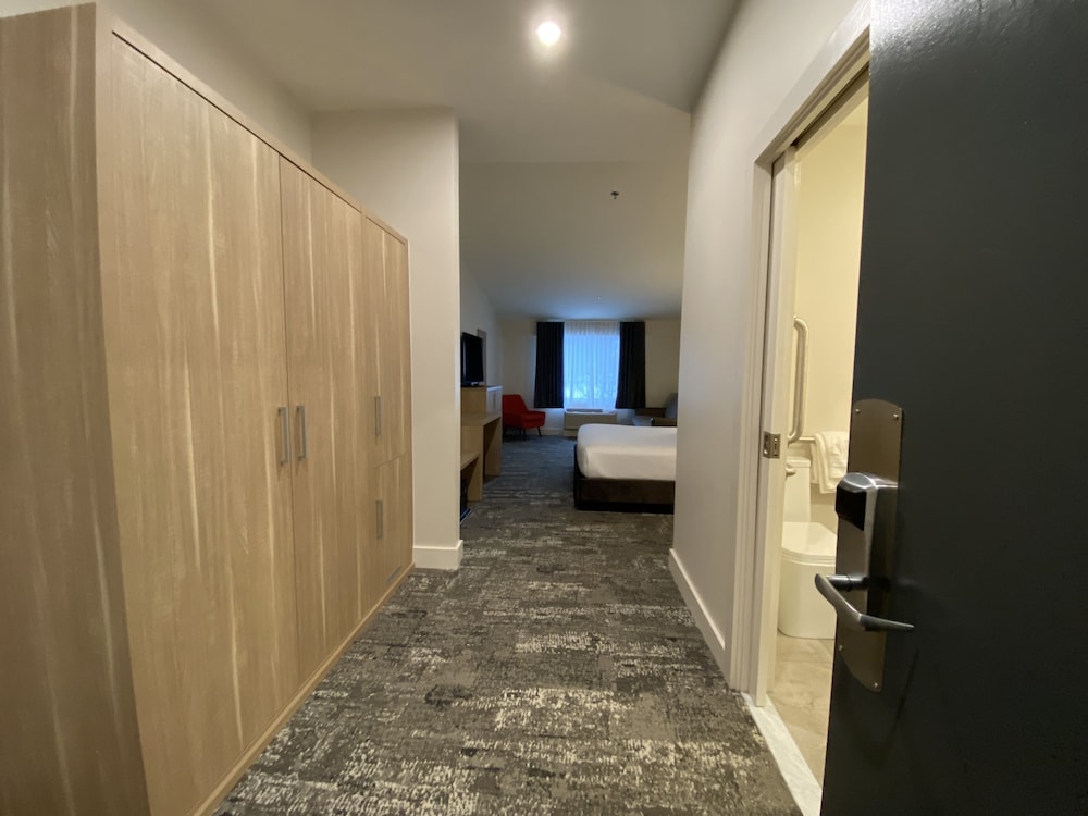 Suite, 1 King Bed