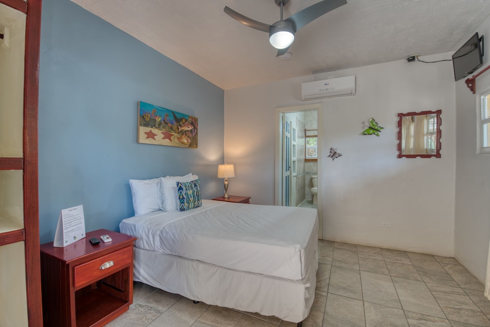 Starfish Queen Mini-Suite photo 2