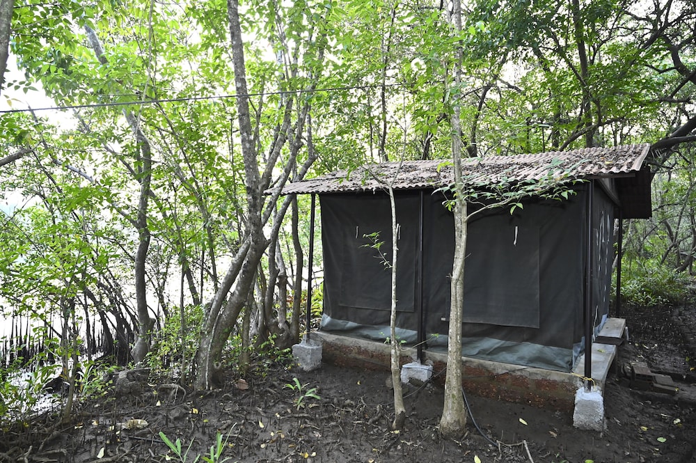 Premium Tent photo 3