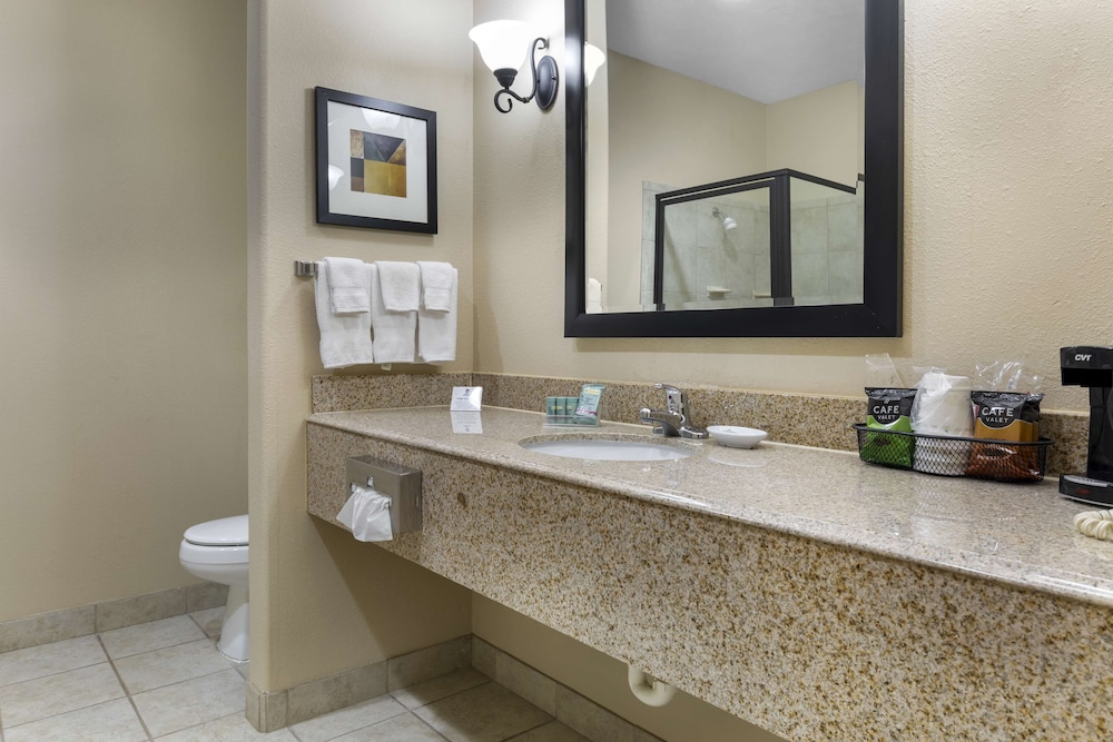 Standard Room, 1 King Bed, Non Smoking, Jetted Tub photo 2