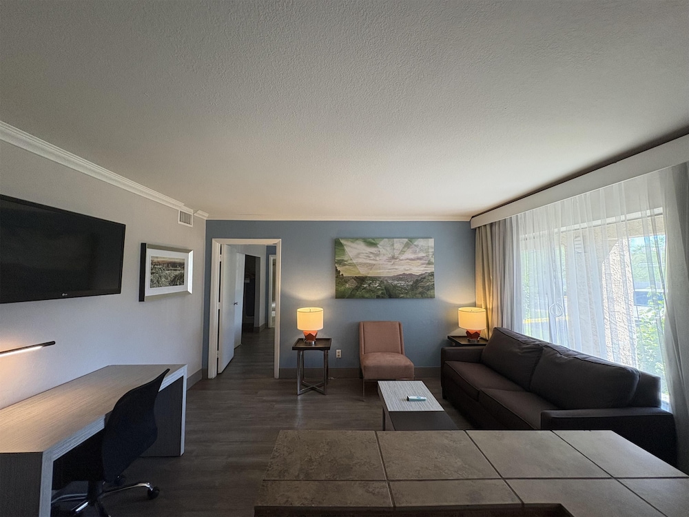 Suite, 1 King Bed, Non Smoking (Living Room;Larger Room; Sofabed) photo 2