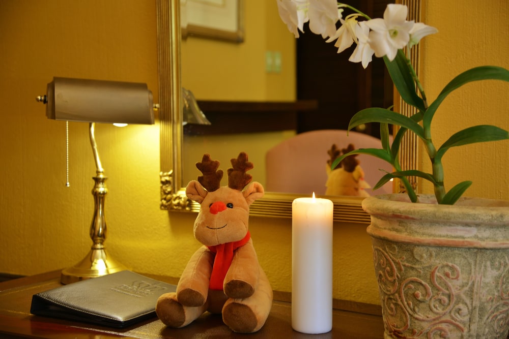 Superior Suites with Fireplace photo 2