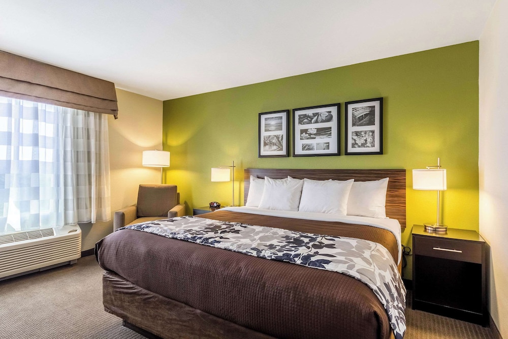 Standard Room, 1 King Bed, Non Smoking photo 2