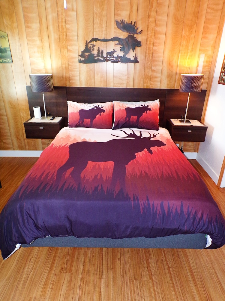 Moose Cottage - 1 queen bed - 1 Room
