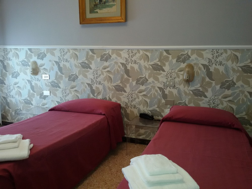 Double or Twin Room photo 1