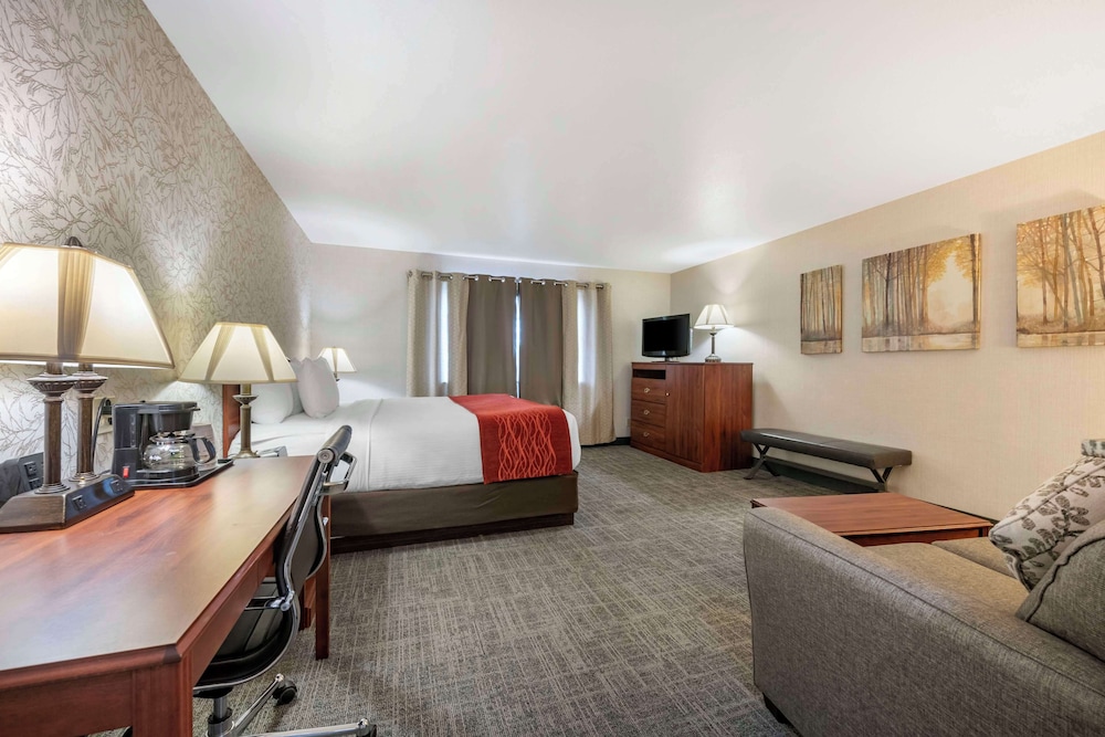 Standard Room, 1 King Bed with Sofa bed, Non Smoking, Refrigerator & Microwave (with Sofabed) - Photo 1
