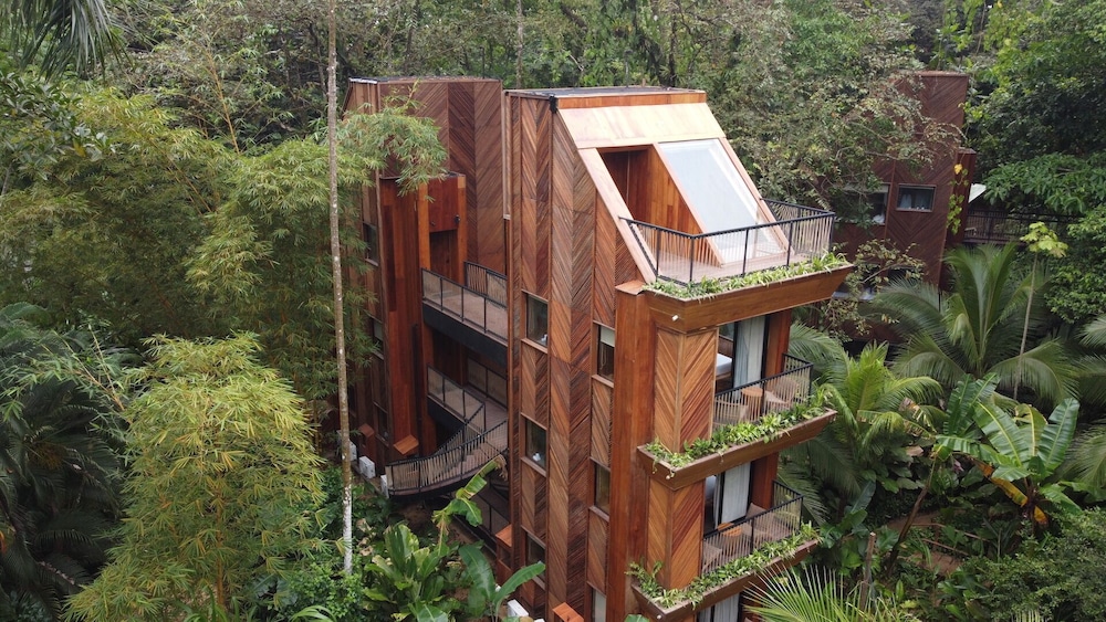 Rooftop Terrace Jungle Immersion with AC
