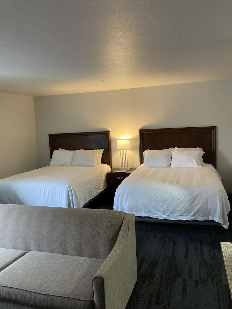 Room 212 - 2 Queen Bed Suite photo 1