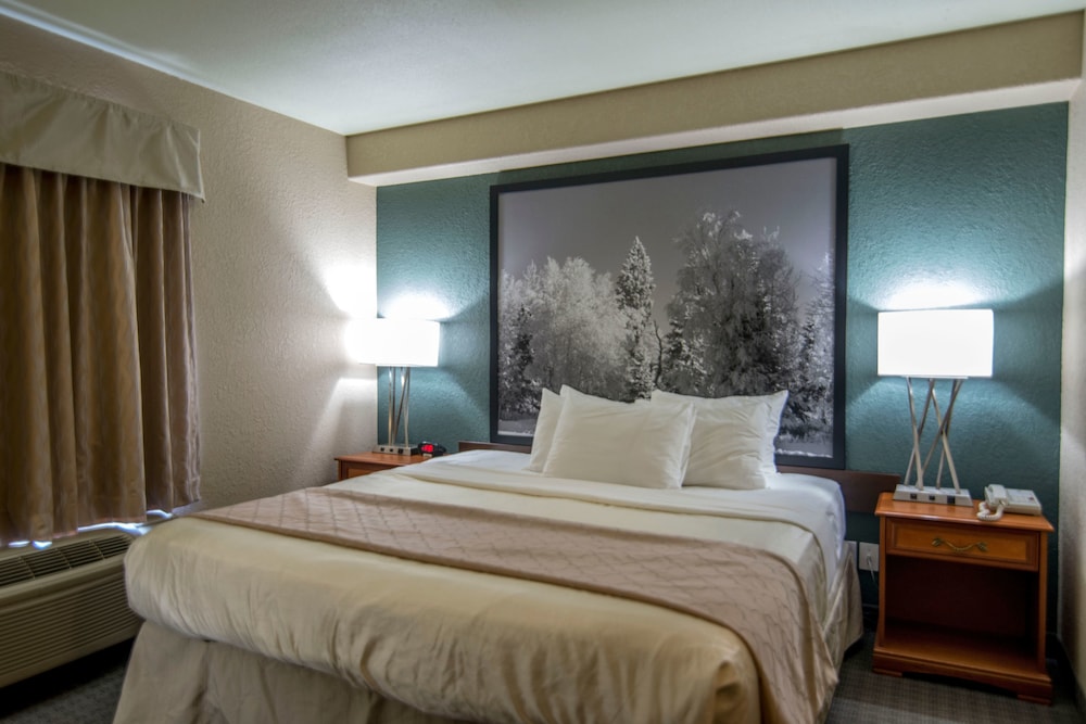 Suite, 1 King Bed, Jetted Tub photo 2