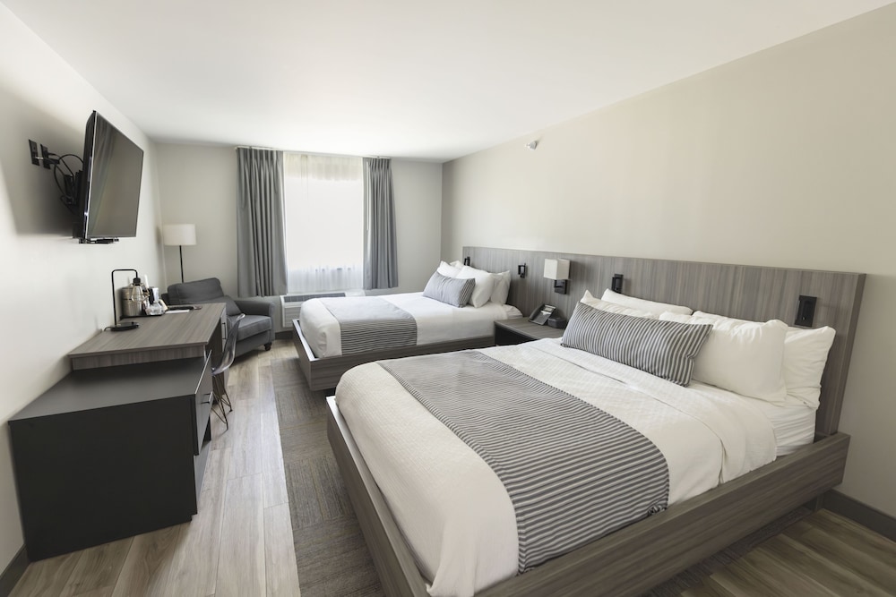 Standard Single Room photo 2
