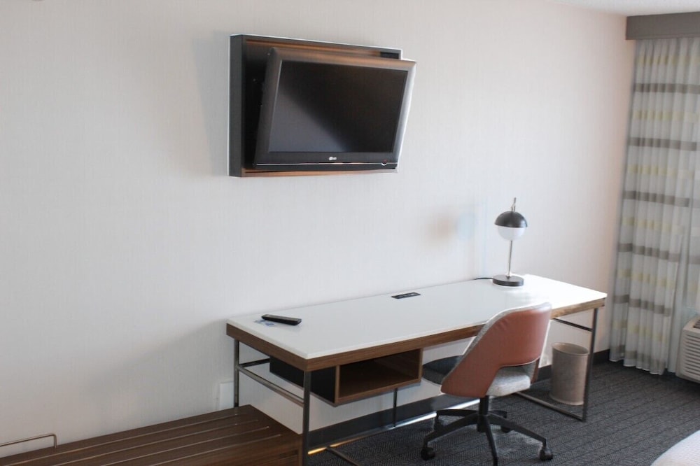 Suite, 1 Bedroom - Photo 4