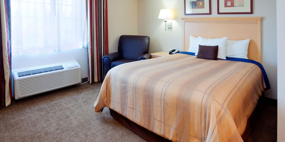 Studio Suite, 1 Queen Bed, Kitchen - Photo 10