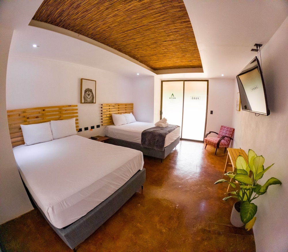 Premium Quadruple Room photo 3