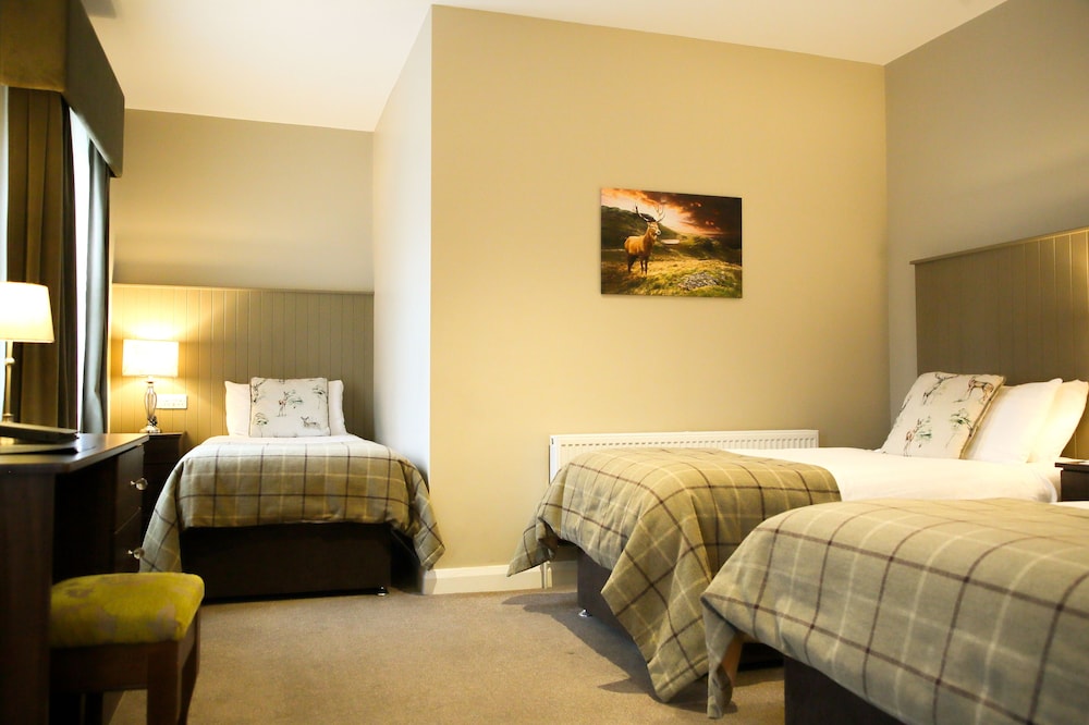 Family Room - Photo 1