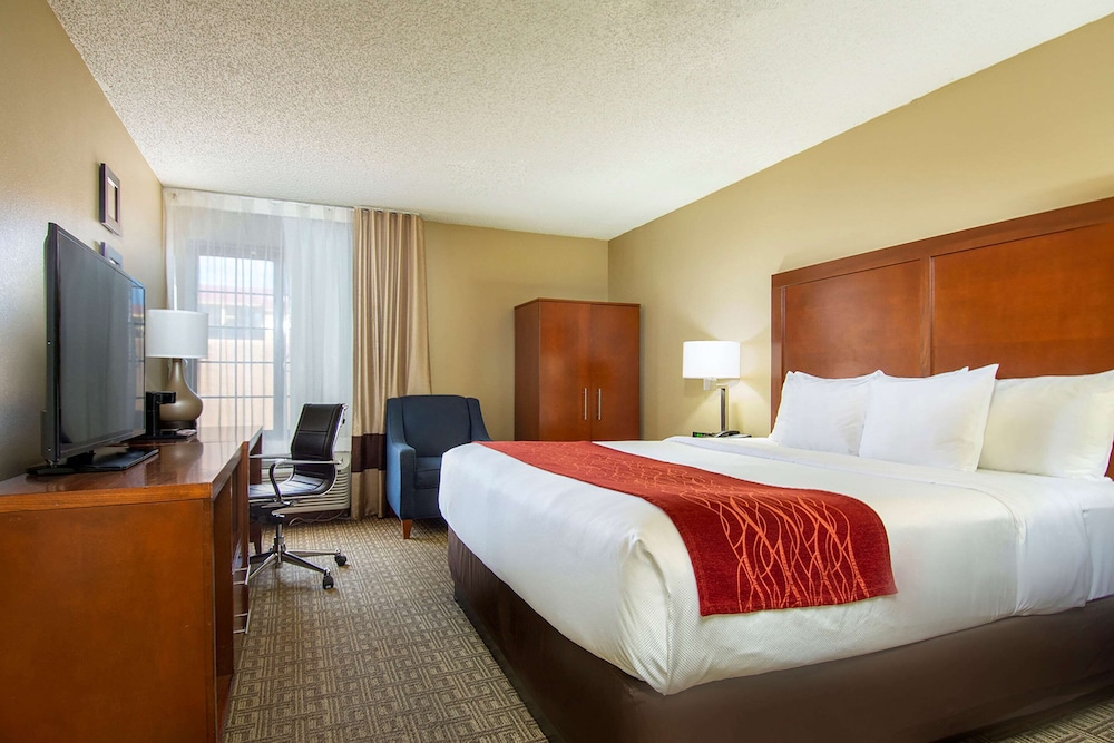 Standard Room, 1 King Bed, Accessible, Non Smoking - Photo 1