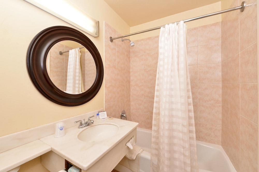 Suite, 1 King Bed, Non Smoking (Jacuzzi) photo 3